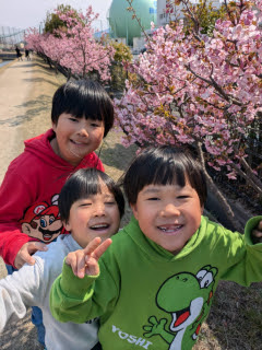 河津桜 | 倉敷市 あぐりさん