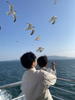フェリーで出会った可愛い子たち | 津山市 にったんさん
