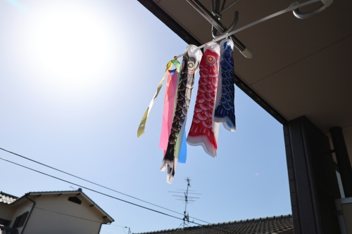 鯉のぼり | 岡山市 まひろさん