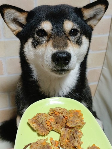 愛犬の日 | 赤磐市 ゆうさん