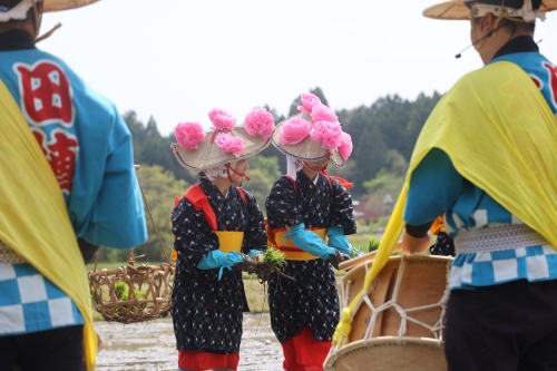 お田植え | 岡山市 ひとみさん