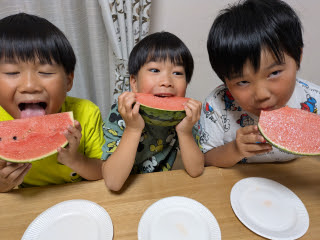 初スイカ | 倉敷市　だんご3兄弟さん