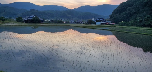 田植えのあとの一息 | 岡山市 吉澤さん
