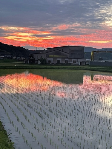綺麗な夕焼け! | 矢掛町 たかひこさん