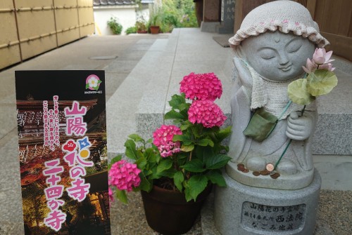 あじさい寺 | 備前市　土橋さん