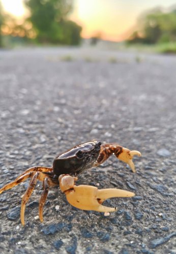 涼しい内に散歩しましょ！