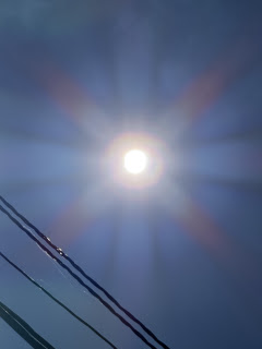 光を放つ太陽 | 津山市 ひまわりさん