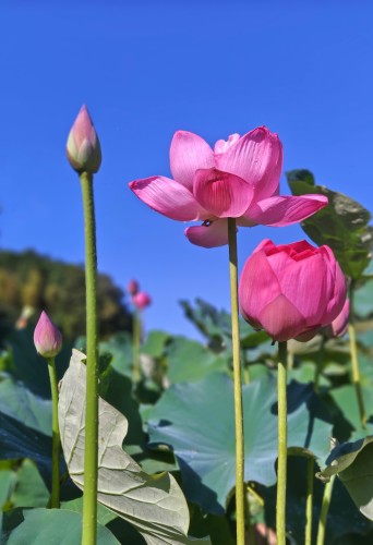 2000年の時を経て | 津山市 寺坂さん