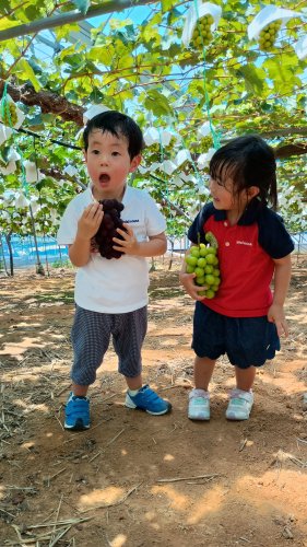 初めてのブドウ狩り | 備前市　山口さん