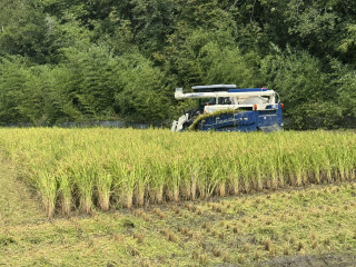もち米!! | 赤磐市 えりねぇさん