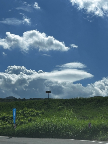 サカナみたいな雲 | 赤磐市　ブシモンさん
