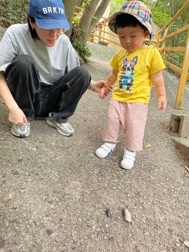 野生のコクワガタ発見！ | 倉敷市　ゆーぽさん
