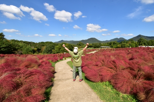 古希やっ!コキア!! | 高松市 ジェネラル・ポチさん