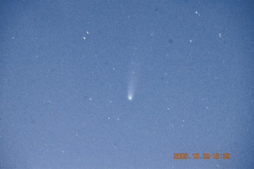 レモン彗星 | 高松市　ジェネラル・ポチさん