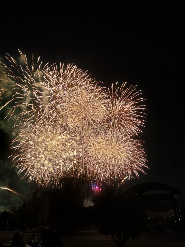 今年最初で最後の花火 | 里庄町　くーみさん
