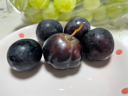 ハロウィンぶどう　発見！ | 笠岡市　しげおおじいちゃんさん