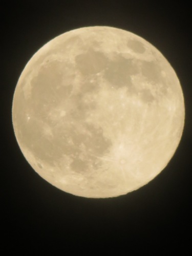 スーパームーン | 赤磐市　トムネコさん