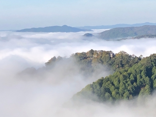 雲海 | 高梁市　きくちゃんさん