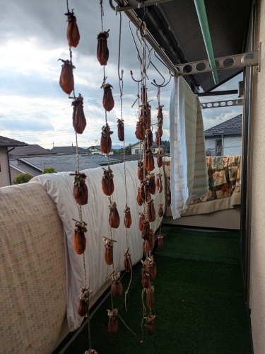 西条柿 | 奈義町　神野さん