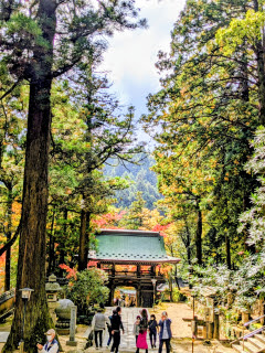 大窪寺の紅葉 | 多度津町　島本さん