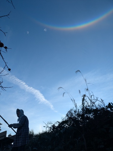 柿の収穫と逆さ虹 | 岡山市　鈴木さん