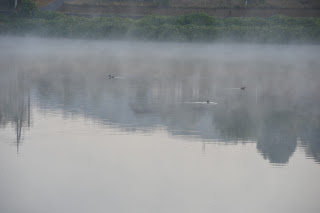 いい湯だな！ | 久米南町　チカZ(ジ～)さん