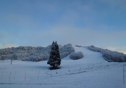 初雪 | 備前市　土橋さん