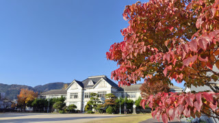 ハナミズキの紅葉 | 真庭市　小割さん