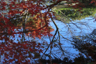 水面に… | 総社市　Tomorrowさん