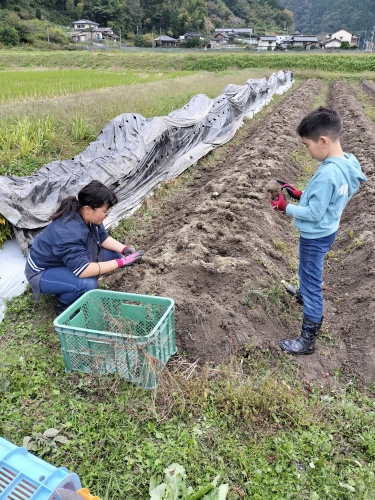 じいじの銀沫畑 | 赤磐市　かーかんさん