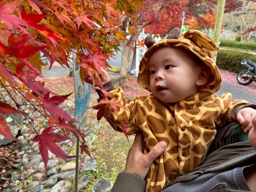 初めての秋 | 倉敷市　宮原さん