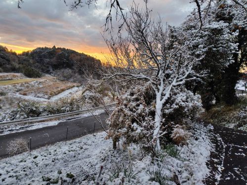今シーズン初の雪景色 | 岡山市　じゅんちゃんさん