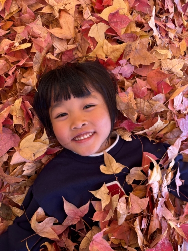 落ち葉のベッド | 赤磐市　あおちゃんmamaさん