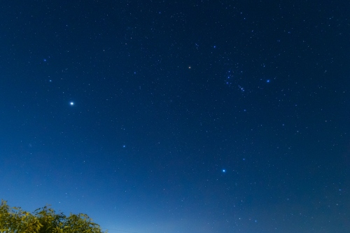 冬の大三角形 | 浅口市　kentom さん