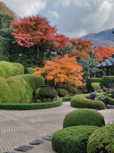 晩秋の庭園 | 総社市　ミニチャンさん