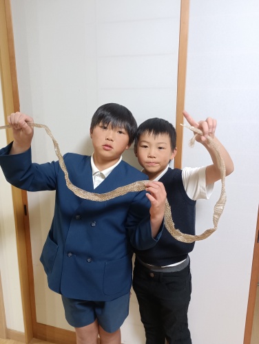 大きなヘビの抜け殻