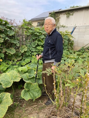 胡瓜から不思議なカボチャ？