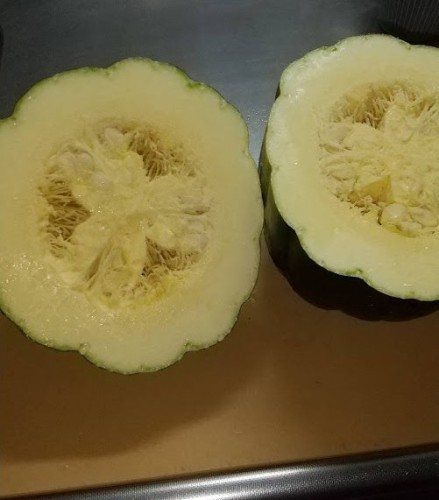 胡瓜から不思議なカボチャ？