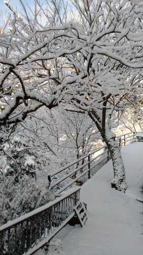 雪 | 高梁市　常松さん