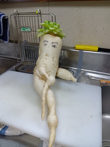 ダイコンに顔を… | 倉敷市　太公望さん