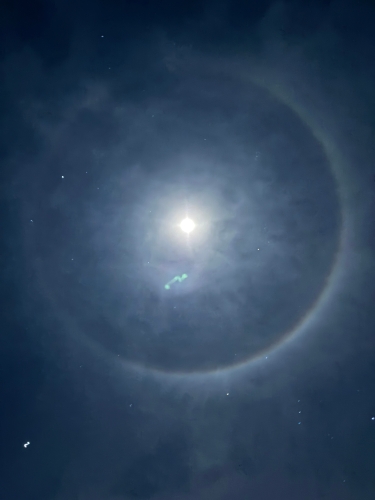 月のwa！ | 倉敷市　みーちゃんさん