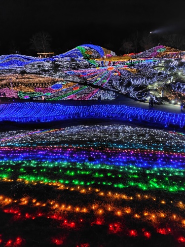 現実とかけ離れた空間 | 坂出市　和田さん