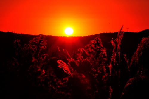 2026年初日の出 | 久米南町　チカZ(ジ～)さん