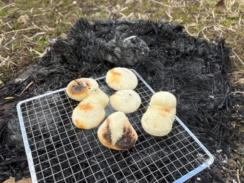 どんど焼き | 高梁市　別所さん