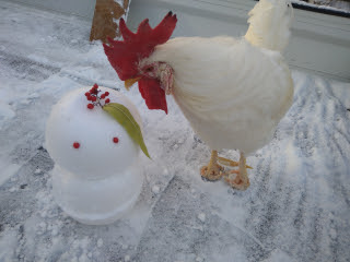 誰だ？ | 高梁市　ゆうじさん