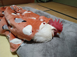 その後… | 高梁市　ゆうじさん