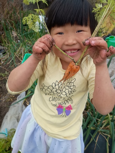 収穫したら双子でした(^^) | 里庄町　くーみさん