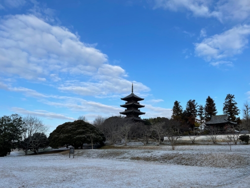 うっすら雪化粧 | 総社市　ななさん