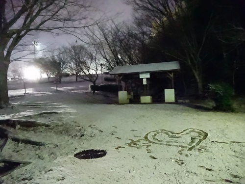 県南にも雪が降る | 倉敷市　まるちゃんさん