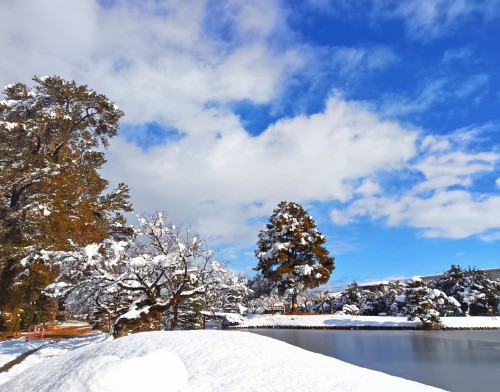 雪の衆楽園 | 津山市　寺坂さん